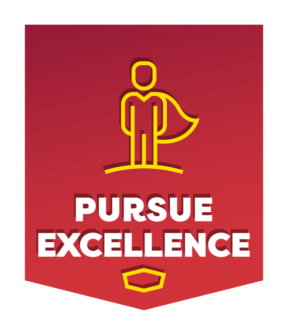 Pursue Excellence Principle Icon